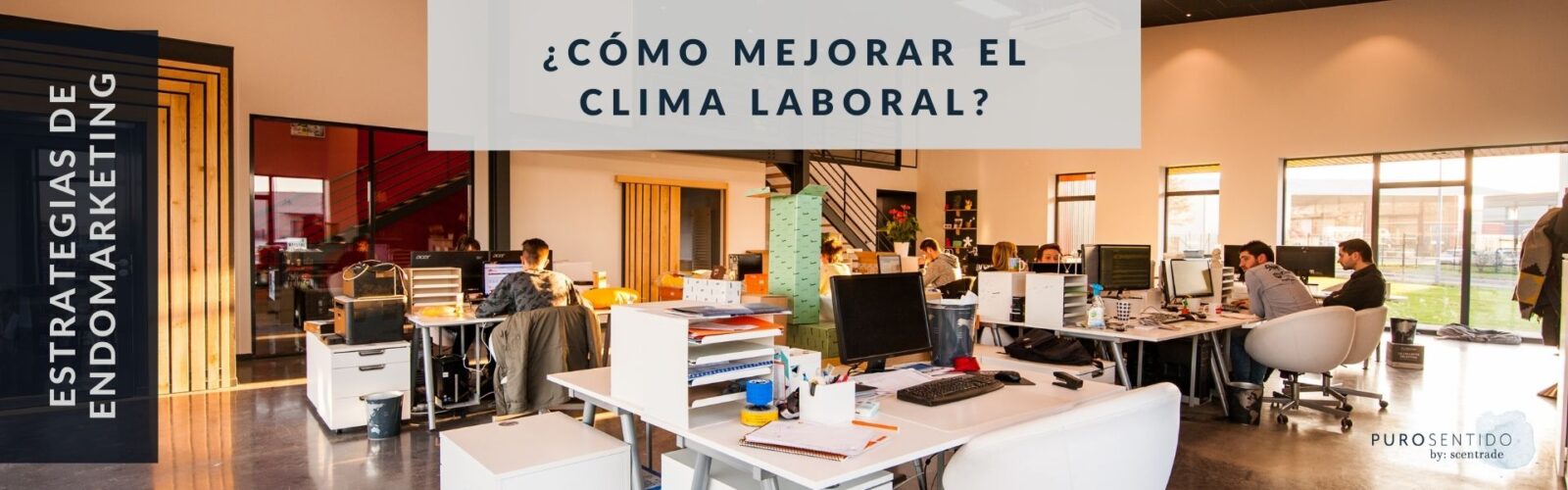 Estrategias de endomarketing ¿Cómo mejorar el clima laboral? Imagen de oficina con colores cálidos